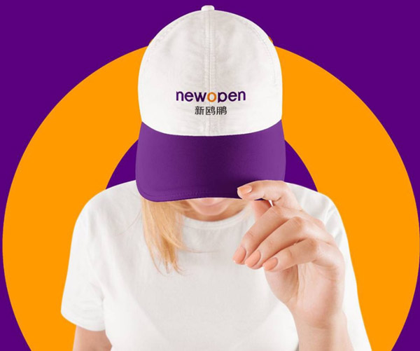 新鸥鹏教育集团品牌LOGO\VI设计
