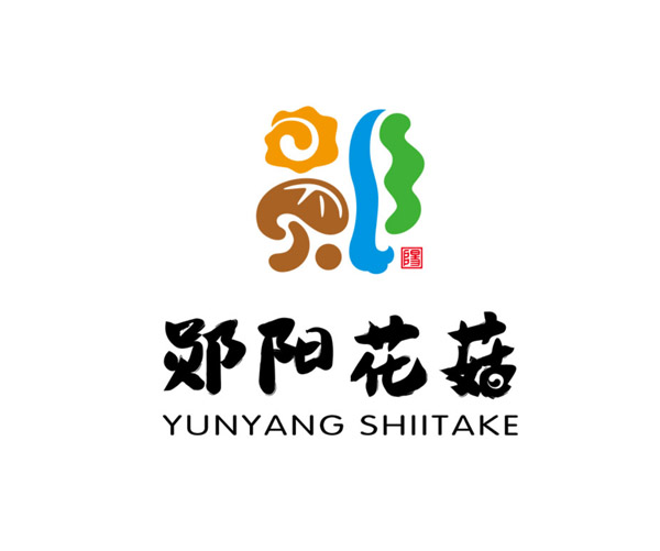 郧阳花菇——武当山下好花菇